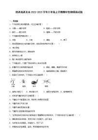 陕西省西安市2022-2023学年八年级上学期期中生物模拟试题(含答案)