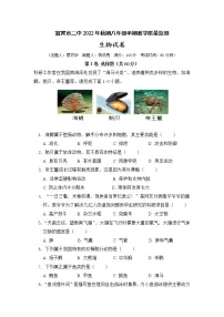 四川省宜宾市第二中学2022-2023学年八年级上学期期中考试生物试题