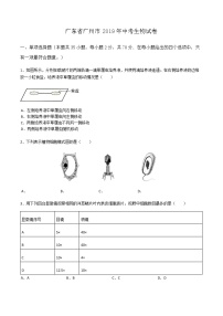 2019年广东省广州市中考生物试卷(含解析)