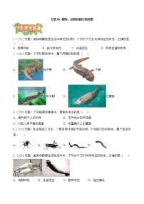 2018-2022年安徽中考生物5年真题1年模拟汇编 专题09 植物动物和微生物类群（学生卷+教师卷）