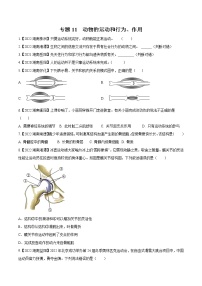 2020-2022年湖南中考生物3年真题汇编 专题11 动物的运动和行为、作用（学生卷+教师卷）