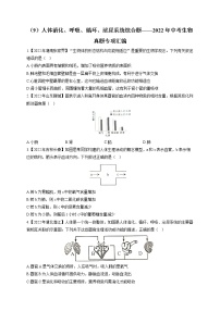 （9）人体消化、呼吸、循环、泌尿系统综合题——2022年中考生物真题专项汇编