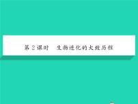 初中生物人教版 (新课标)八年级下册第二节 生物进化的历程习题课件ppt