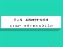 初中生物人教版 (新课标)八年级下册第三节  基因的显性和隐性习题课件ppt