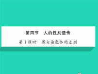 人教版 (新课标)八年级下册第七单元 生物圈中生命的延续和发展第二章  生物的遗传和变异第四节 人的性别遗传习题ppt课件