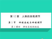 初中生物北师大版七年级下册第1节  神经系统与神经调节习题课件ppt