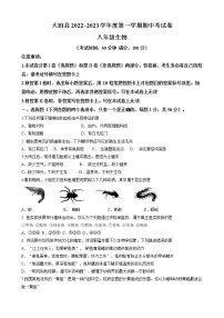 福建省三明市大田县2022-2023学年八年级上学期期中生物试题（含答案）