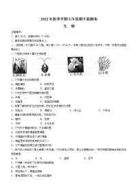 云南省昭通市巧家县2022-2023学年七年级上学期期中生物试题(含答案)