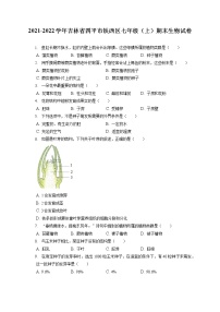 2021-2022学年吉林省四平市铁西区七年级（上）期末生物试卷(含答案解析)