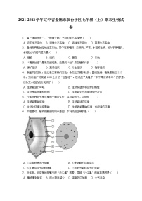 2021-2022学年辽宁省盘锦市双台子区七年级（上）期末生物试卷(含答案解析)