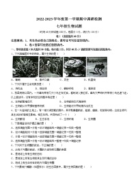 河北省保定市易县2022-2023学年七年级上学期期中生物试题 (含答案)