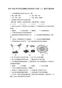 2021-2022学年河北省廊坊市香河县八年级（上）期末生物试卷（含答案解析）