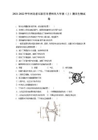 2021-2022学年河北省石家庄市晋州市八年级（上）期末生物试卷（含答案解析）