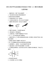 2021-2022学年山东省泰安市岱岳区八年级（上）期末生物试卷（五四学制（含答案解析）