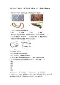 2021-2022学年辽宁省营口市八年级（上）期末生物试卷（含答案解析）