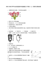 2021-2022学年山东省滨州市滨城区八年级（上）期末生物试卷（含答案解析）