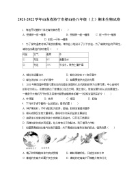 2021-2022学年山东省济宁市梁山县八年级（上）期末生物试卷（含答案解析）