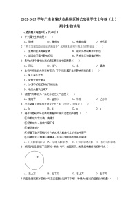 广东省肇庆市鼎湖区博艺实验学校2022-2023学年七年级上学期期中生物试卷