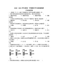 江苏省连云港市新海实验中学2020-2021学年八年级上学期期中生物试题(无答案)