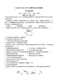 河南省许昌市禹州市2022-2023学年八年级上学期期中生物试题(含答案)