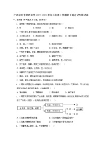 广西钦州市第四中学2022-2023学年七年级上学期第十周考试生物试卷(含答案)