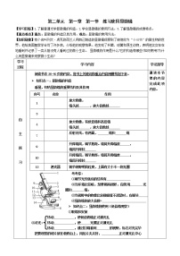 初中生物人教版 (新课标)七年级上册第一节 练习使用显微镜导学案及答案