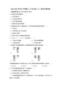 辽宁省鞍山市第二中学2022-2023学年七年级上学期期中生物试卷(含答案)