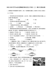 山东省聊城市阳谷县2022-2023学年八年级上学期期中生物试卷(含答案)