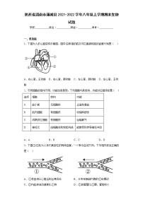 陕西省渭南市蒲城县2021-2022学年八年级上学期期末生物试题(含答案)