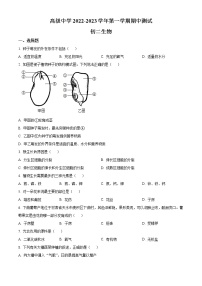 广东省深圳市高级中学2022-2023学年八年级上学期期中生物试题(含答案)