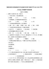 陕西省西安市西咸新区沣东新城第六初级中学2022-2023学年八年级上学期期中生物试卷(含答案)