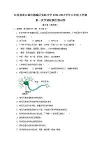 江苏省连云港市赣榆区实验中学2022-2023学年八年级上学期第一次学情检测生物试卷(含答案)