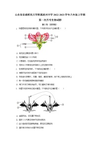 山东省滨州市首都师范大学附属滨州中学2022-2023学年八年级上学期第一次月考生物试题(含答案)