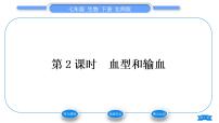 初中生物北师大版七年级下册第1节 血液习题课件ppt