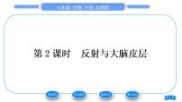 北师大版七年级下册第1节  神经系统与神经调节习题课件ppt