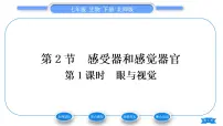 初中生物北师大版七年级下册第2节 感受器和感觉器官习题课件ppt