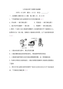 北师大版七年级生物下期中检测题(word版，含答案)