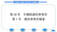 初中生物北师大版八年级上册第1节  遗传和变异现象习题课件ppt