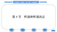 北师大版八年级上册第4节 性别和性别决定习题课件ppt