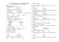 湖南省邵阳市第七中学2022-2023学年八年级上学期期中考试生物试题(含答案)