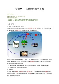 专题10 生物圈的碳-氧平衡（解析版）-七年级上学期期末复习之重难点突破（人教版）