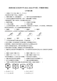 江苏省南通市海门区东洲中学2021-2022学年七年级下学期期中生物试题(含答案)