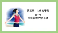 生物七年级下册第一节 呼吸道对空气的处理示范课ppt课件