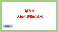 人教版七年级下册生物 期末复习 专题五 人体内废物的排出（课件）