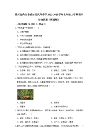 四川省内江市威远县凤翔中学2022-2023学年七年级上学期期中生物试卷(含答案)