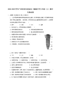 广西来宾市武宣县二塘镇中学2022-2023学年八年级上学期期中生物试卷(含答案)