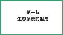 济南版八年级下册第一节 生态系统的组成备课课件ppt