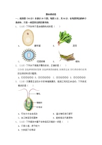 人教版生物七上  期末测试卷  (8)（含答案）