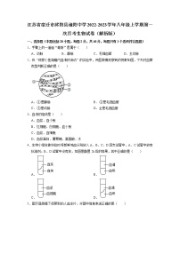 江苏省宿迁市沭阳县潼阳中学2022-2023学年八年级上学期第一次月考生物试卷