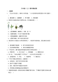 人教版生物八上 期中测试卷6（含答案）